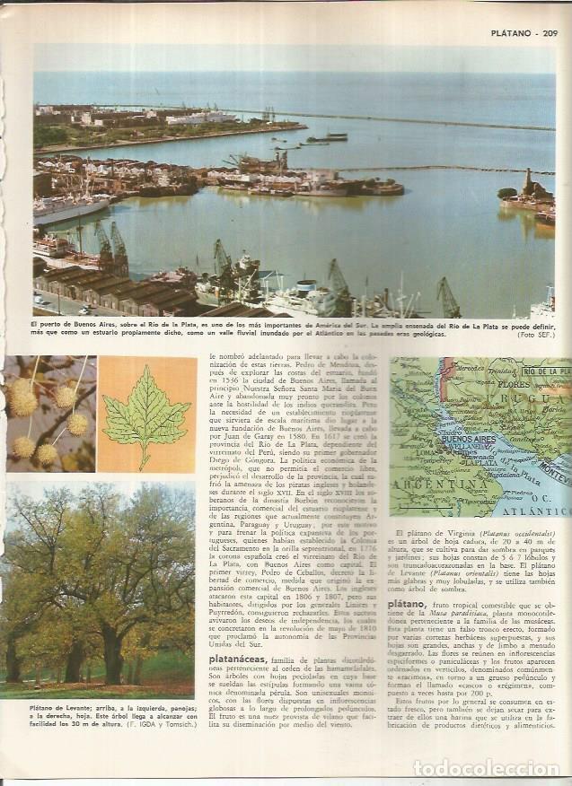 Cartoline: LAMINA MONITOR 01046: Puerto de Buenos Aires, Argentina - Varios