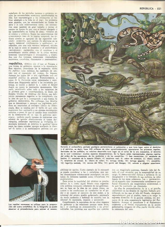 Cartoline: LAMINA MONITOR 01095: Reptiles - Varios