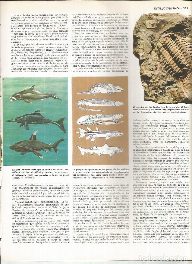 Cartoline: LAMINA MONITOR 01000: Fosiles y vida acuatica - Varios