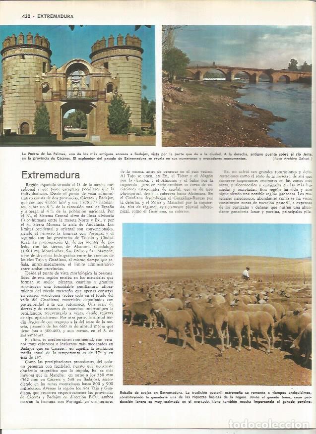 Cartoline: LAMINA MONITOR 01003: Puerta de las Palmas en Badajoz - Varios