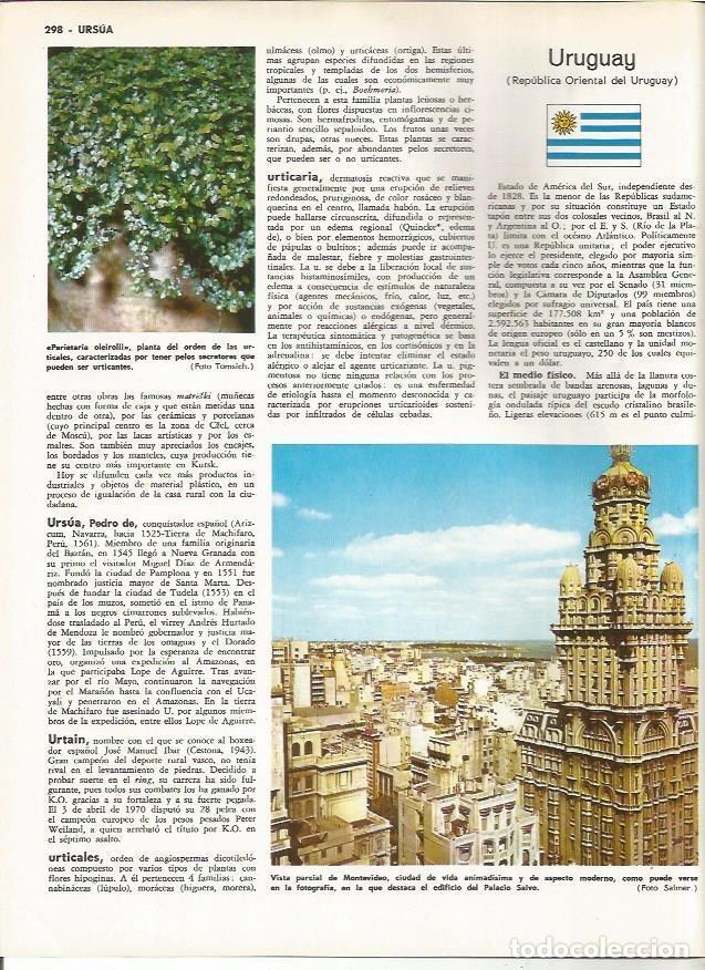 Cartoline: LAMINA MONITOR 0888: Vista parcial de Montevideo, Uruguay - Varios