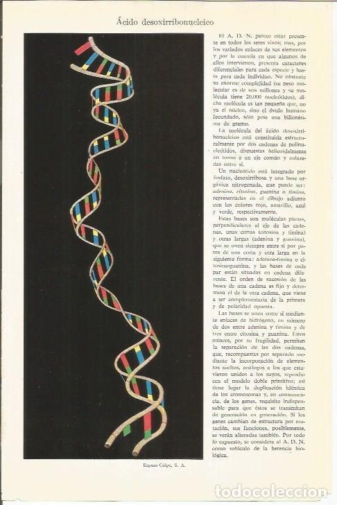 Cartoline: LAMINA ESPASA 37992: Secuencia del ADN - Varios