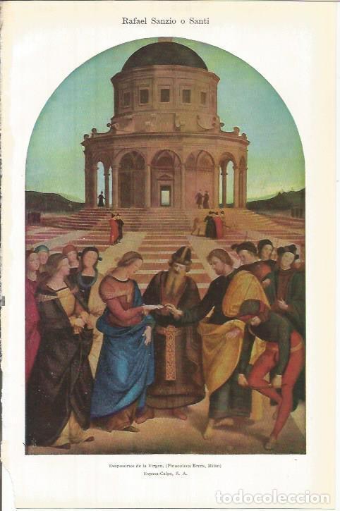 Cartes Postales: LAMINA ESPASA 37855: Desposorios de la Virgen, por Sanzio - Varios
