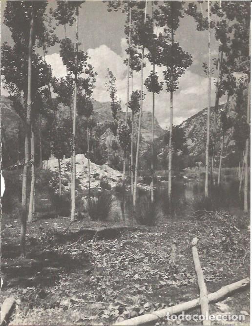 Cartes Postales: LAMINA V00298: Estanque de Sant Lloren&ccedil; de Montgai, Lerida - J. Vallverdu - T. Sirera