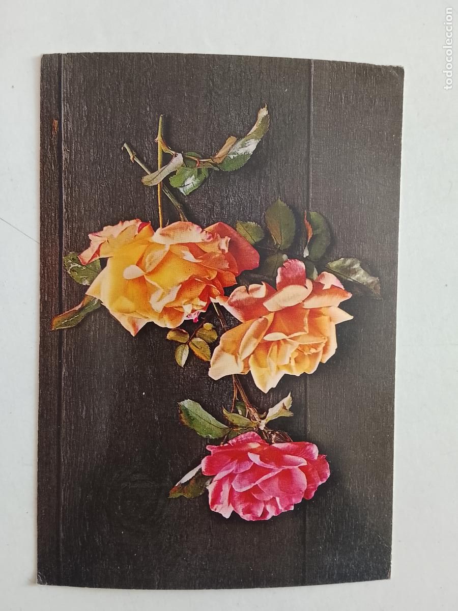 Cartes Postales: haga su oferta en apartado de postales de flores perros y gatos - POSTAL ANTIGUA