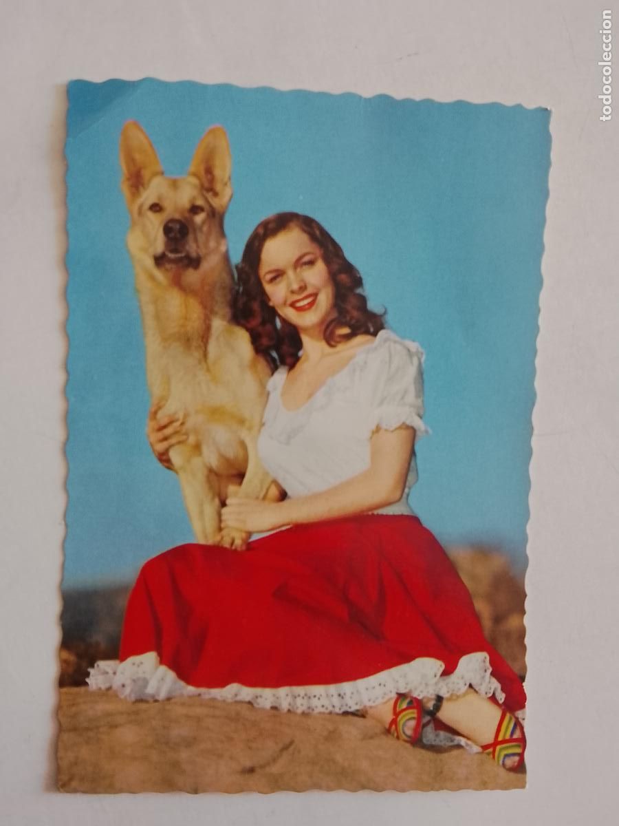 Postais: haga su oferta en apartado de postales de flores perros y gatos - POSTAL ANTIGUA