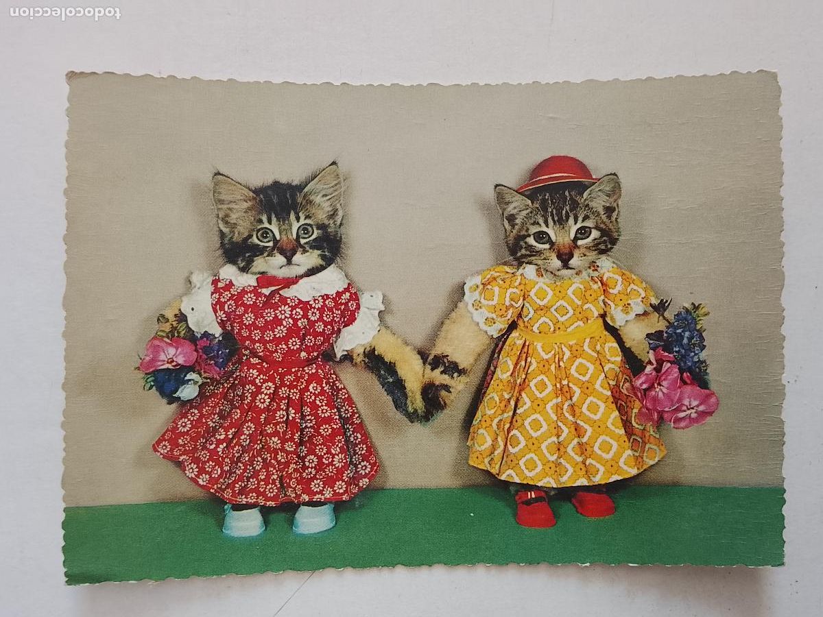 Postales: haga su oferta en apartado de postales de flores perros y gatos - POSTAL ANTIGUA