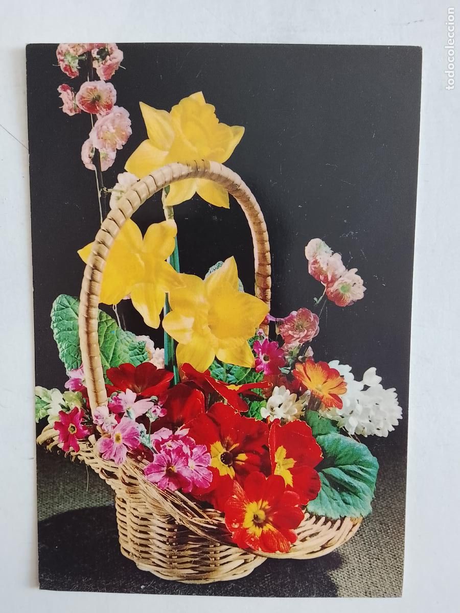 Postales: haga su oferta en apartado de postales de flores perros y gatos - POSTAL ANTIGUA