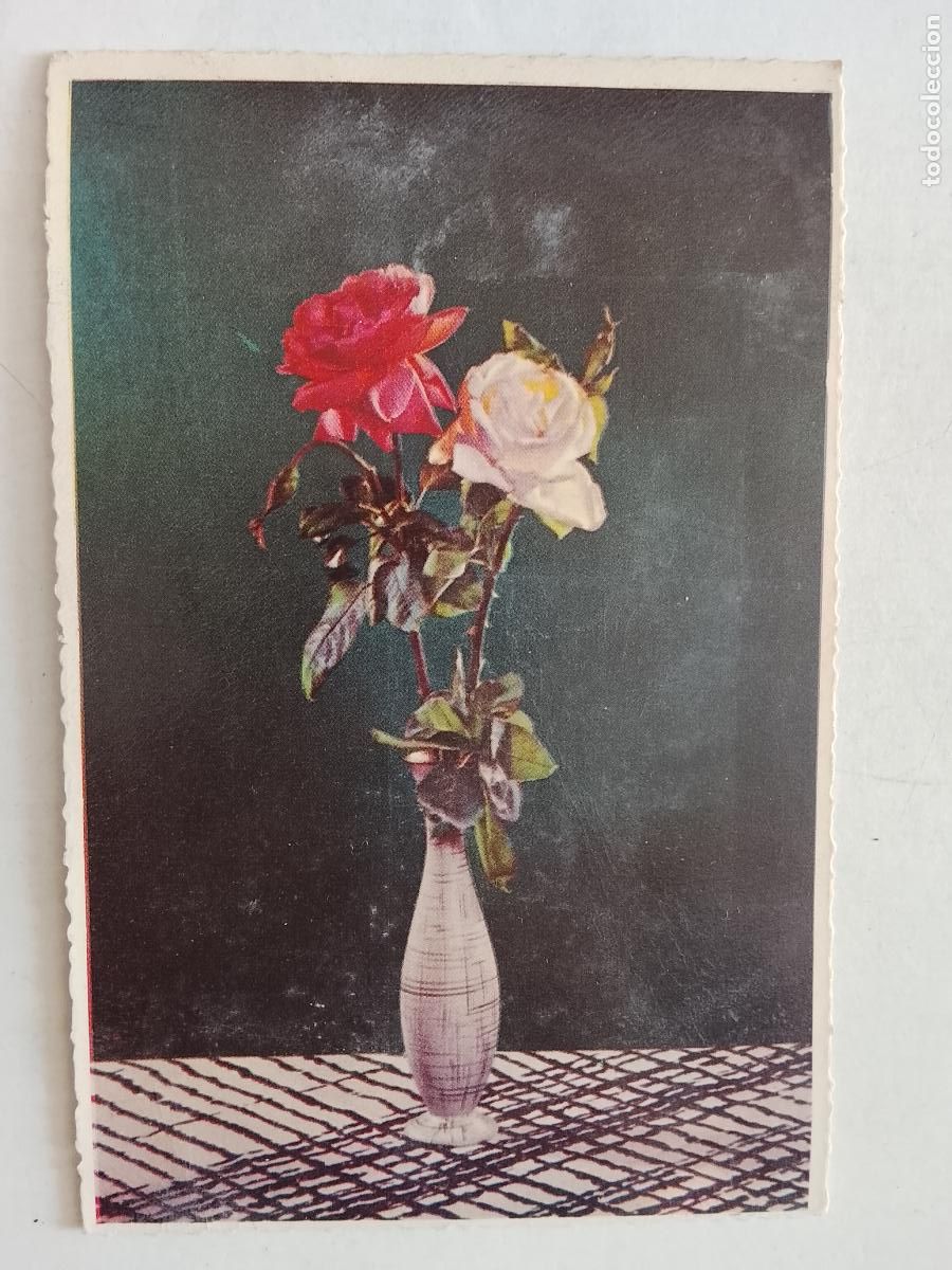 Postales: haga su oferta en apartado de postales de flores perros y gatos - POSTAL ANTIGUA
