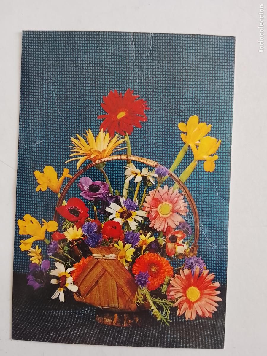 Postales: haga su oferta en apartado de postales de flores perros y gatos - POSTAL ANTIGUA