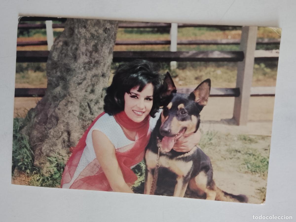 Postales: haga su oferta en apartado de postales de flores perros y gatos - POSTAL ANTIGUA