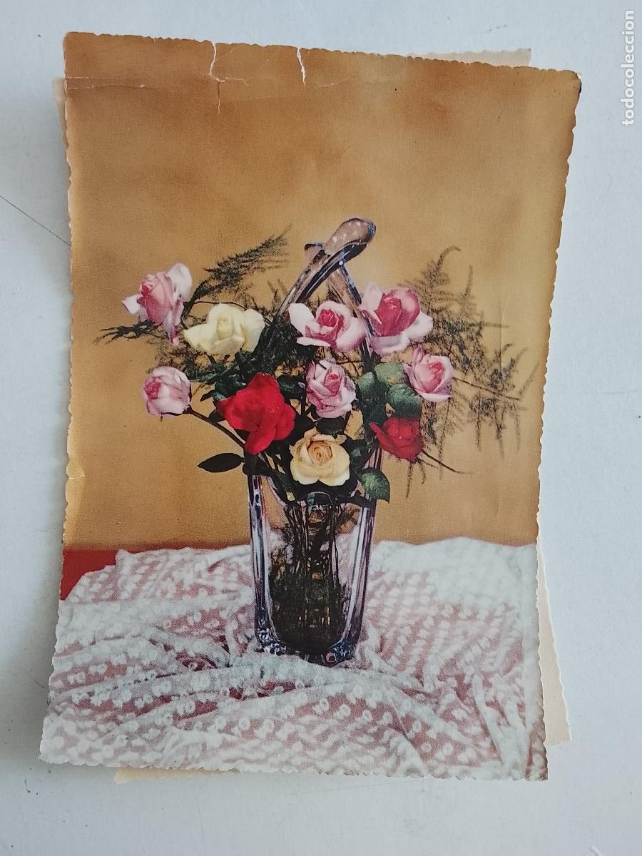 Postales: haga su oferta en apartado de postales de flores perros y gatos - POSTAL ANTIGUA