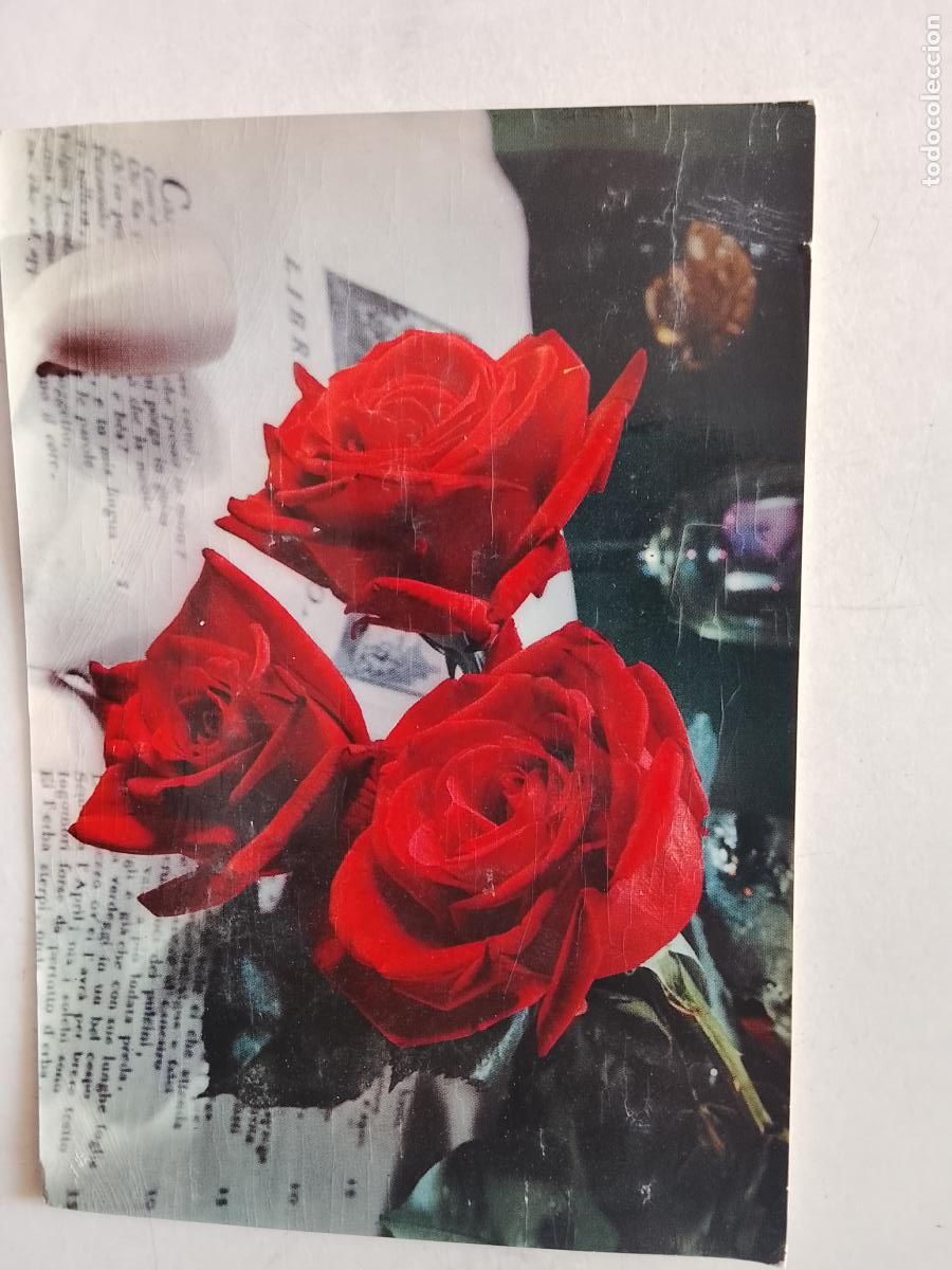 Postales: haga su oferta en apartado de postales de flores perros y gatos - POSTAL ANTIGUA