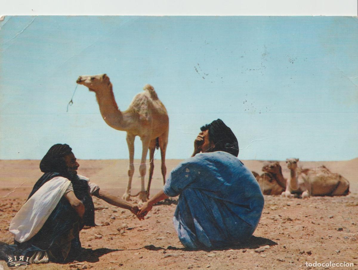 Postales: postal sahara espa&ntilde;ol MERCADO DE CAMELLOS - Foto 1