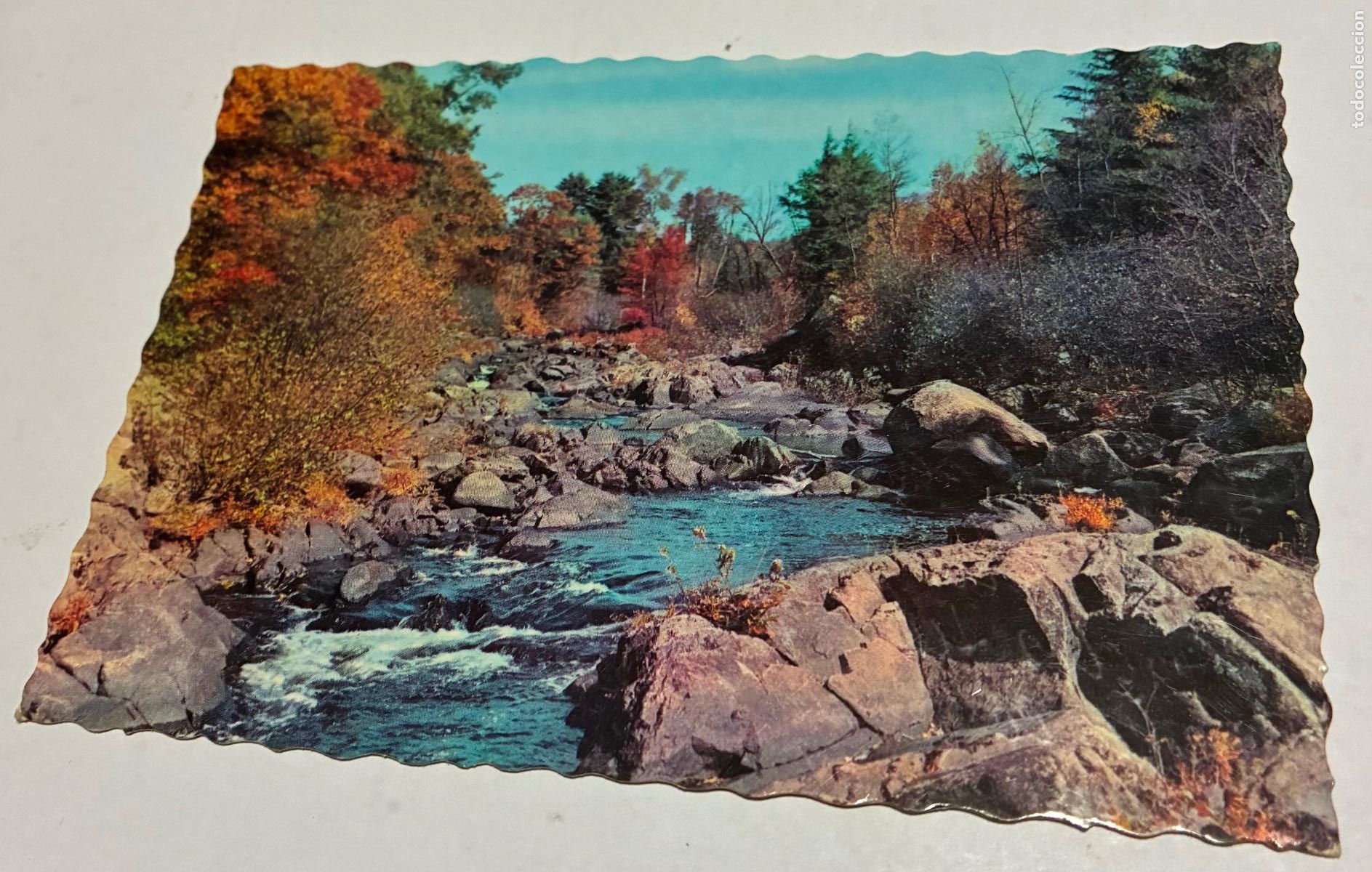 Postales: POSTAL RIO NATURALEZA