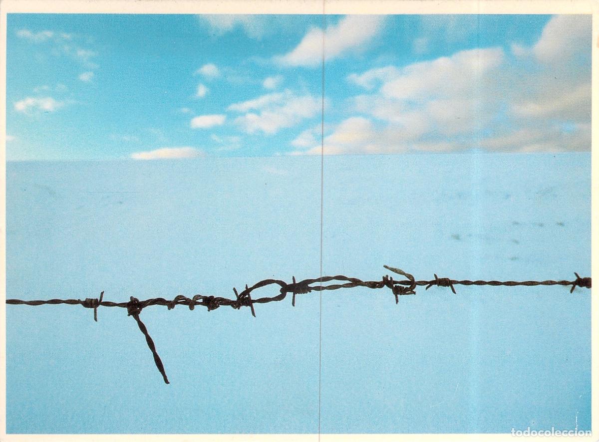 Postales: Postal de Arte Martin Kers - Nieve y Alambre de Espinas