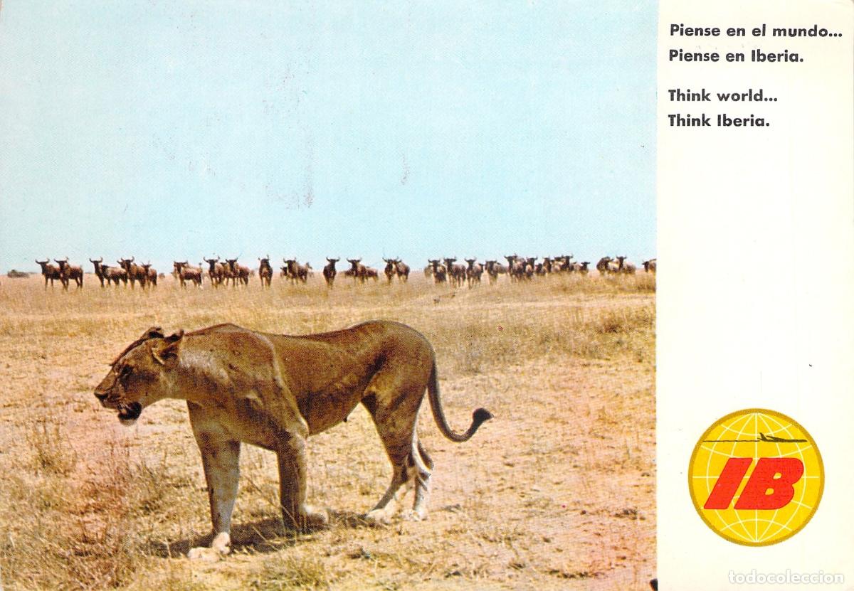 Postales: Postal Publicitaria de Iberia &Aacute;frica Para&iacute;so de Safaris Fotogr&aacute;ficos