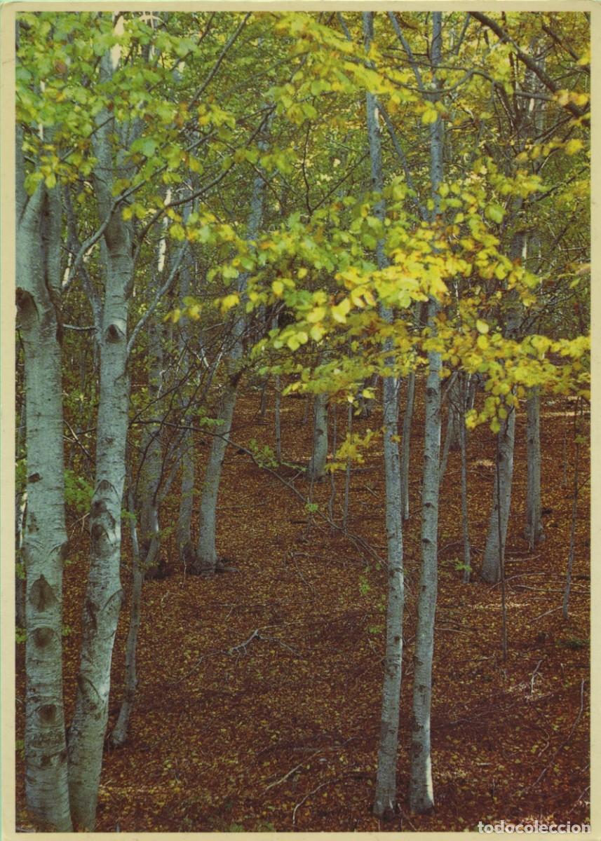 Postales: Naturaleza. Sin circular. ED. ECOPOSTAL. Fotograf&iacute;a Jos&eacute; A. Quesada