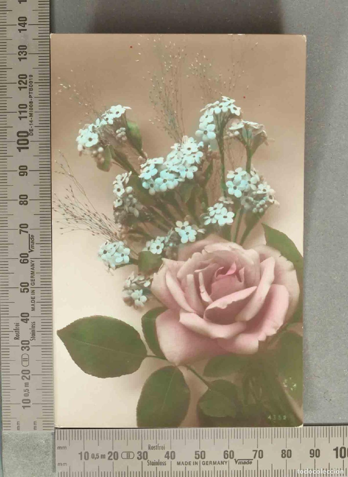 Postales: POSTAL. Rosa - iluminada