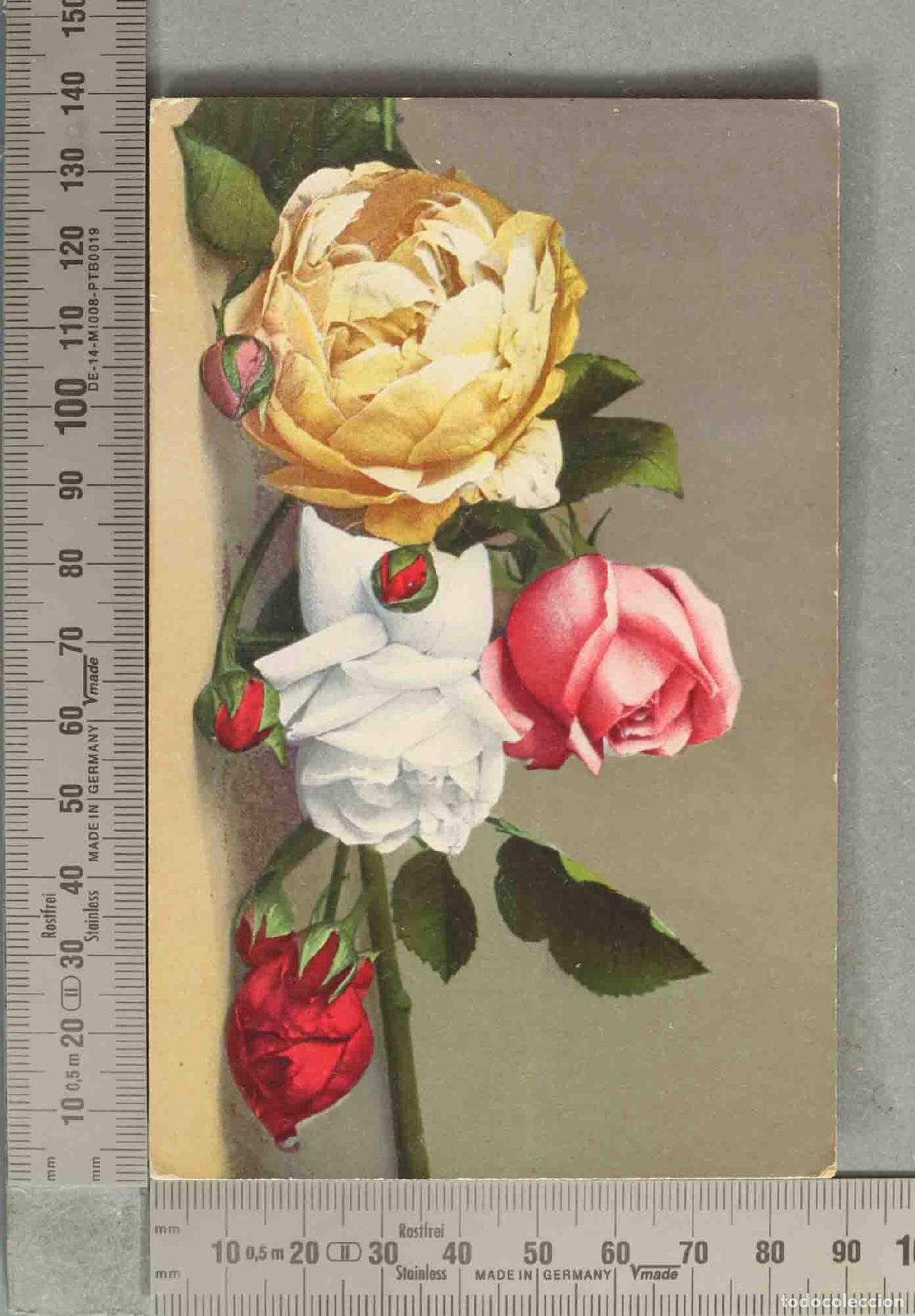 Postales: POSTAL. flores - Cromolitograf&iacute;a