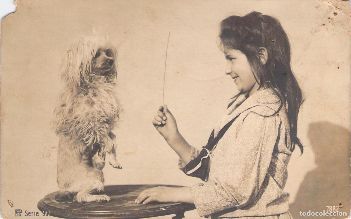 Postales: Postal Antigua de Ni&ntilde;a con su Perro Adiestrado