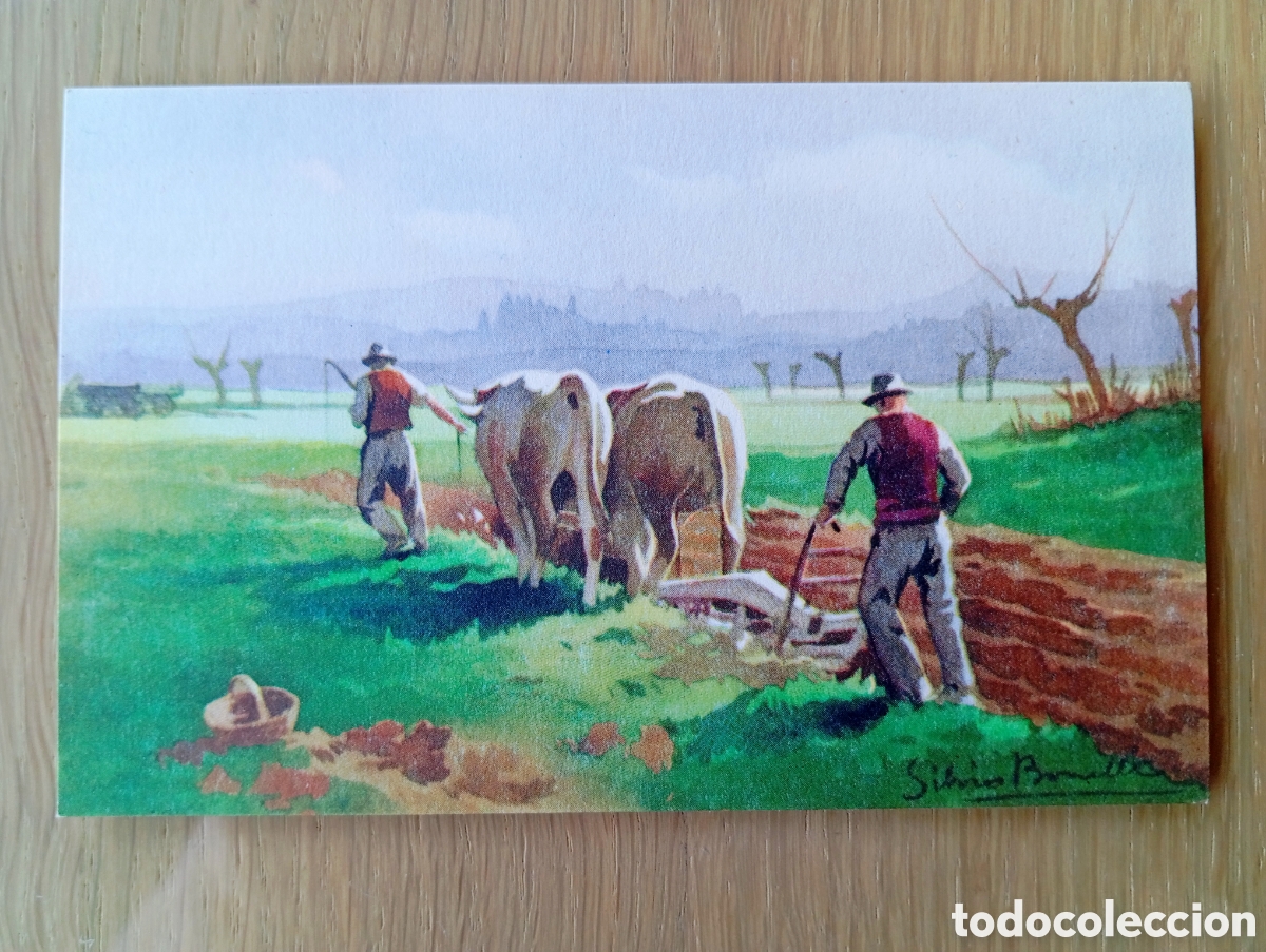 Postales: POSTAL BUC&Oacute;LICA NATURALEZA ACUARELA BUEYES CAMPO PARA ENMARCAR SIN CIRCULAR