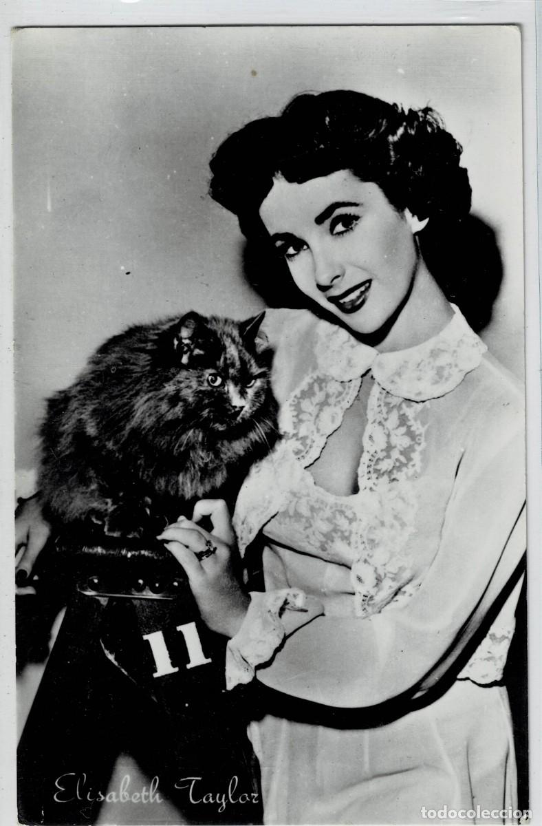 Postales: POSTAL DE CINE: DE ELISABETH TAYLOR. P-CINE-1570