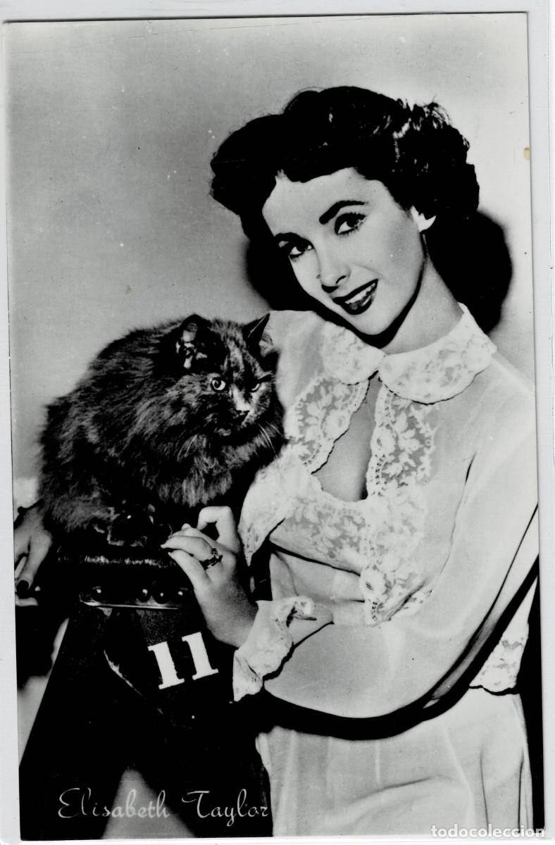 Postales: POSTAL DE CINE: DE ELISABETH TAYLOR. P-CINE-1571