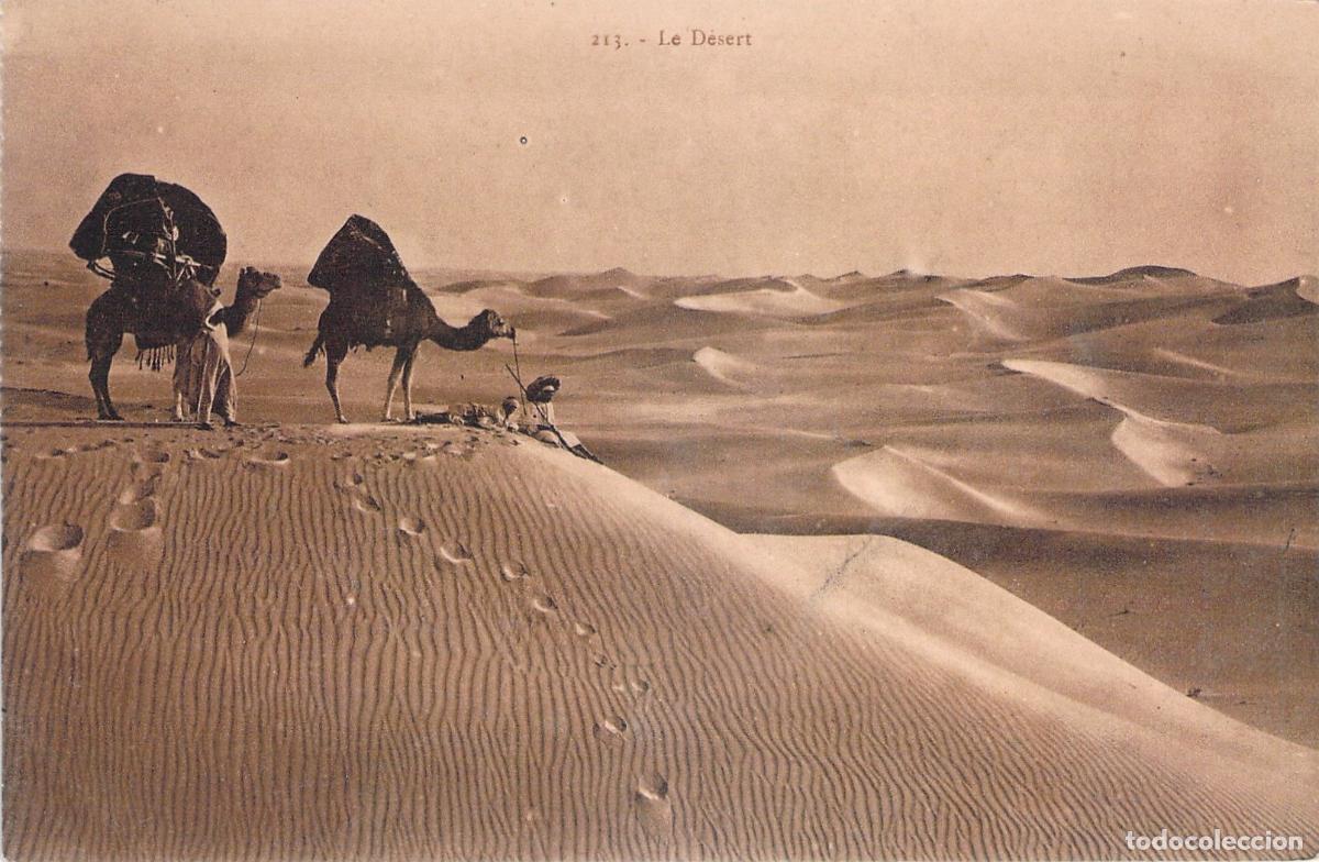 Postales: Postal Desierto del Sahara con Camellos Lehnert & Landrock