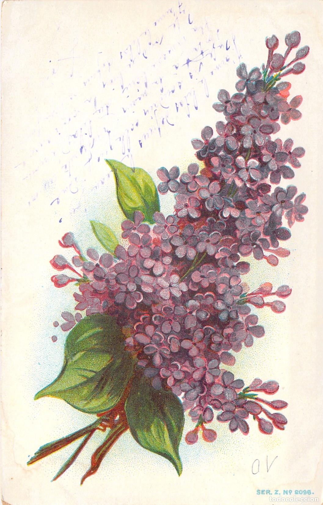 Postales: Postal de Ramo de Flores Lilas Ilustraci&oacute;n Art&iacute;stica