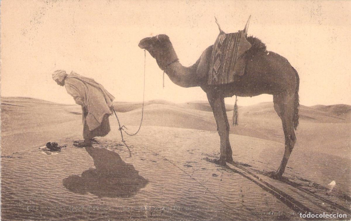Postcards: Postal de Oraci&oacute;n en el Desierto con Camello y N&oacute;mada