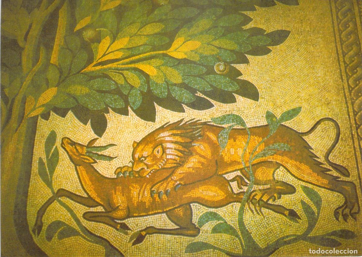 Cartoline: Postal del Mosaico en el Palacio de Hisham, Jeric&oacute;