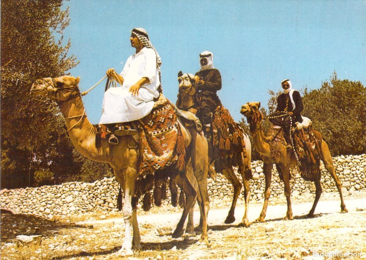 Postales: Postal de Beduinos en Camello - Vistas del Mundo B&iacute;blico