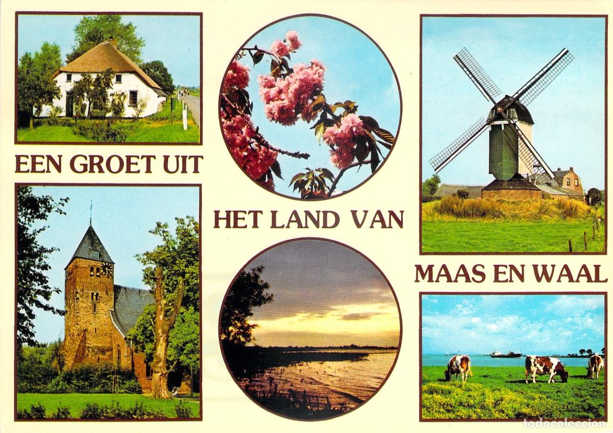 Postales: Postal de Maas en Waal Holanda Molino y Paisajes Rurales