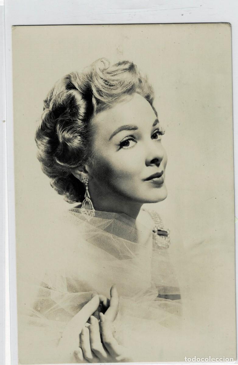 Postales: POSTAL DE CINE N&ordm; 2519: DE KATHRYN GRAYSON. P-CINE-1604