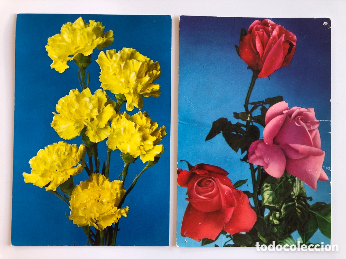 Postales: 2 Postales Raker Flores 8001/D y 8124/D - Foto 3