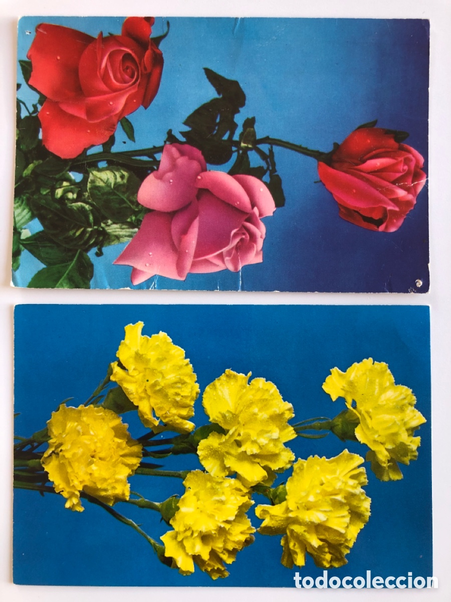 Postales: 2 Postales Raker Flores 8001/D y 8124/D