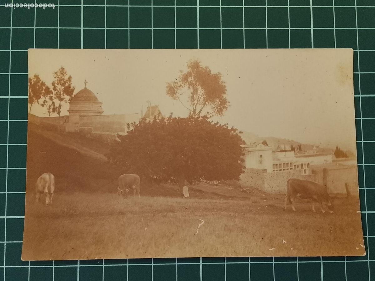 Postais: LUGAR SIN IDENTIFICAR - FOTOGRAFICA -POSTAL ANTIGUA-(116.006)
