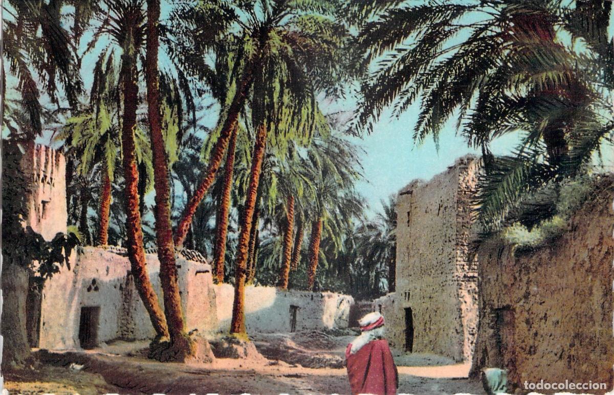 Postales: Postal Escenas de &Aacute;frica del Norte - En el Oasis