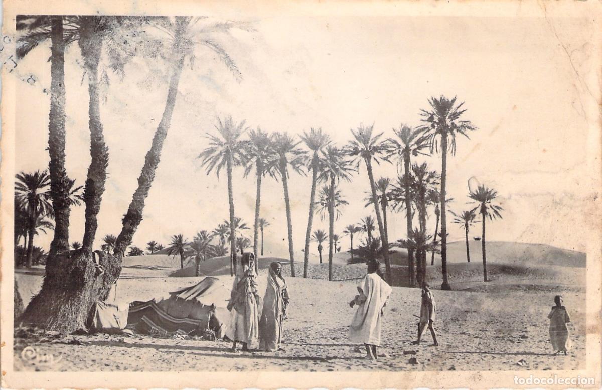 Postales: Postal de T&uacute;nez: Escena en el Palmeral - Colecci&oacute;n L'Afrique