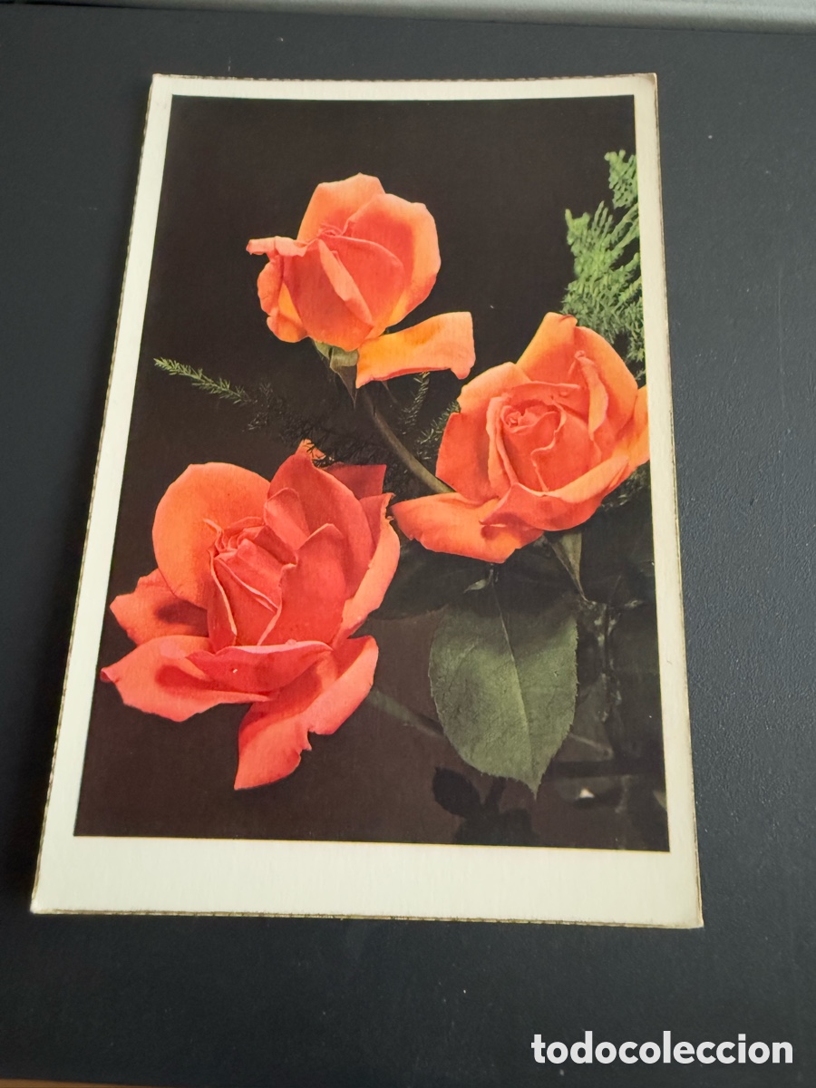 Postales: Postal. FLORES. ROSAS