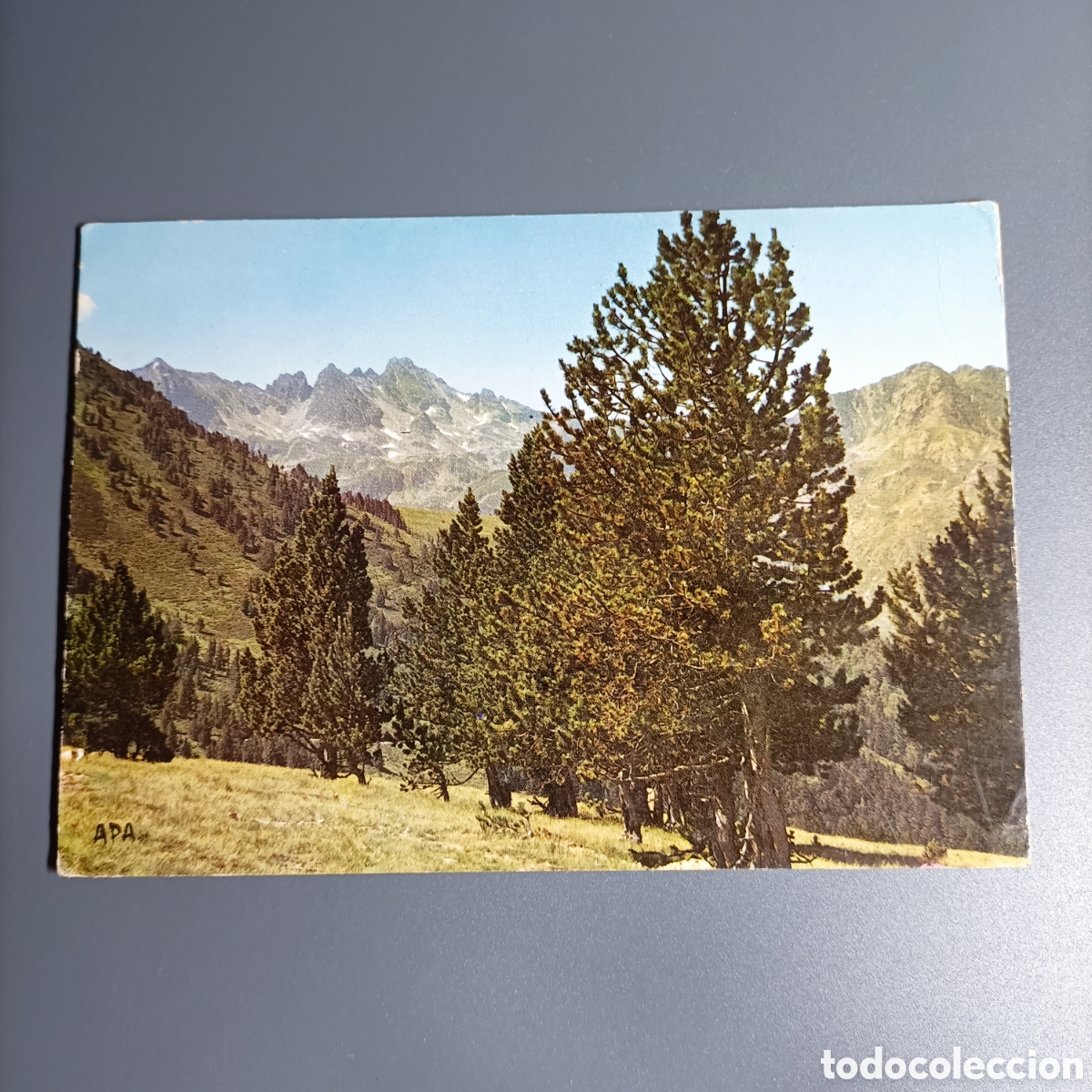 Postales: POSTAL CIRCULADA. №09-AX-1016 EVITONS D'AX-LES-THERMES (ARIEGE)