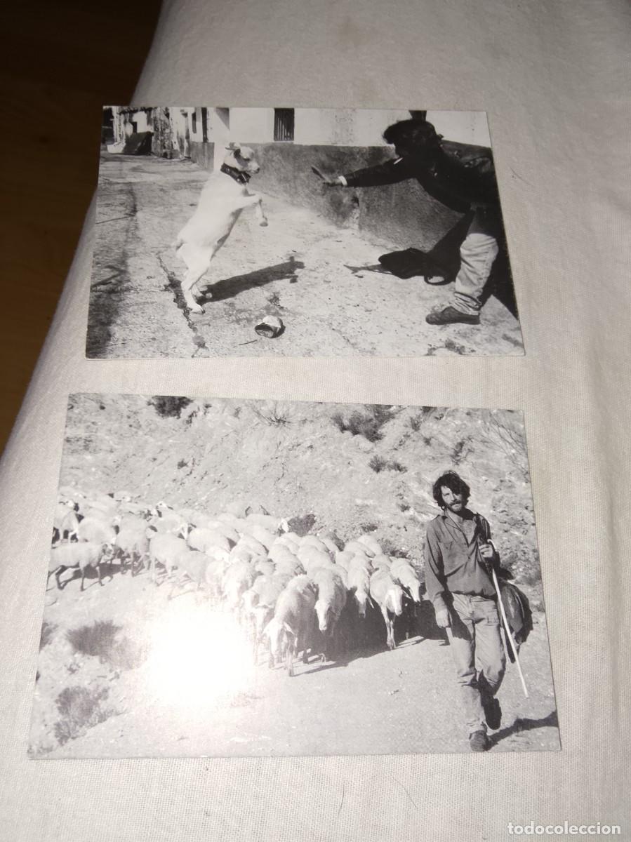 Postales: 2 postales de cabras con pastor fhoto B&aacute;rbara Lynch