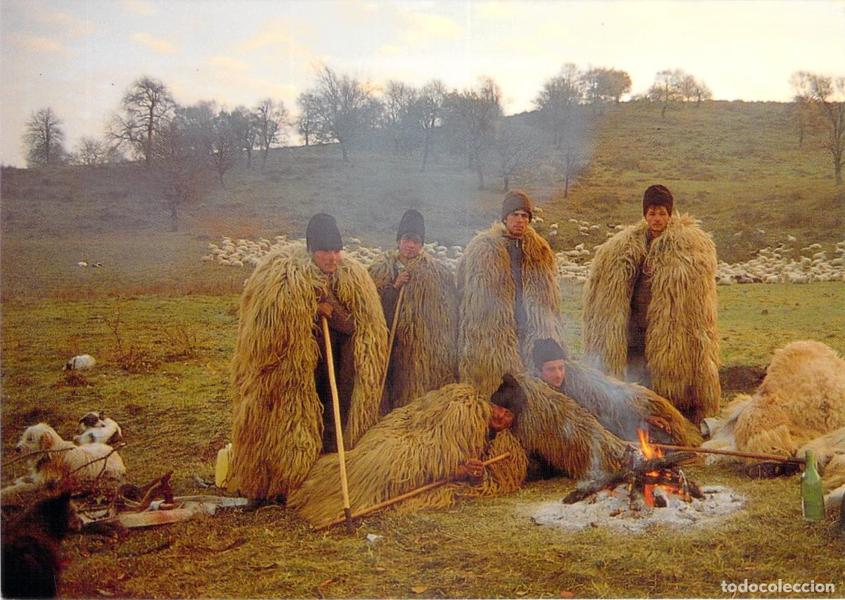 Postales: Postal de Trashumancia Europea y Pastores con Capas Tradicionales