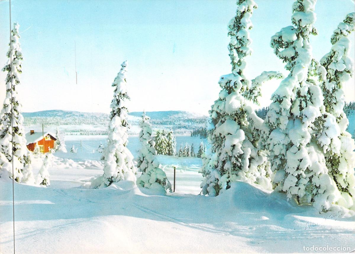 Postales: Postal Paisaje de Invierno en Noruega con &Aacute;rboles Nevados