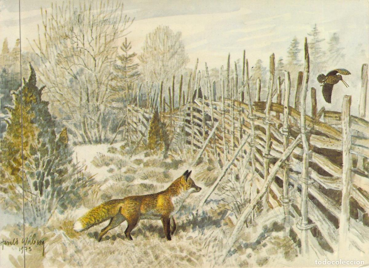 Postales: Postal de Arte de Zorro y Becada por Harald Wiberg