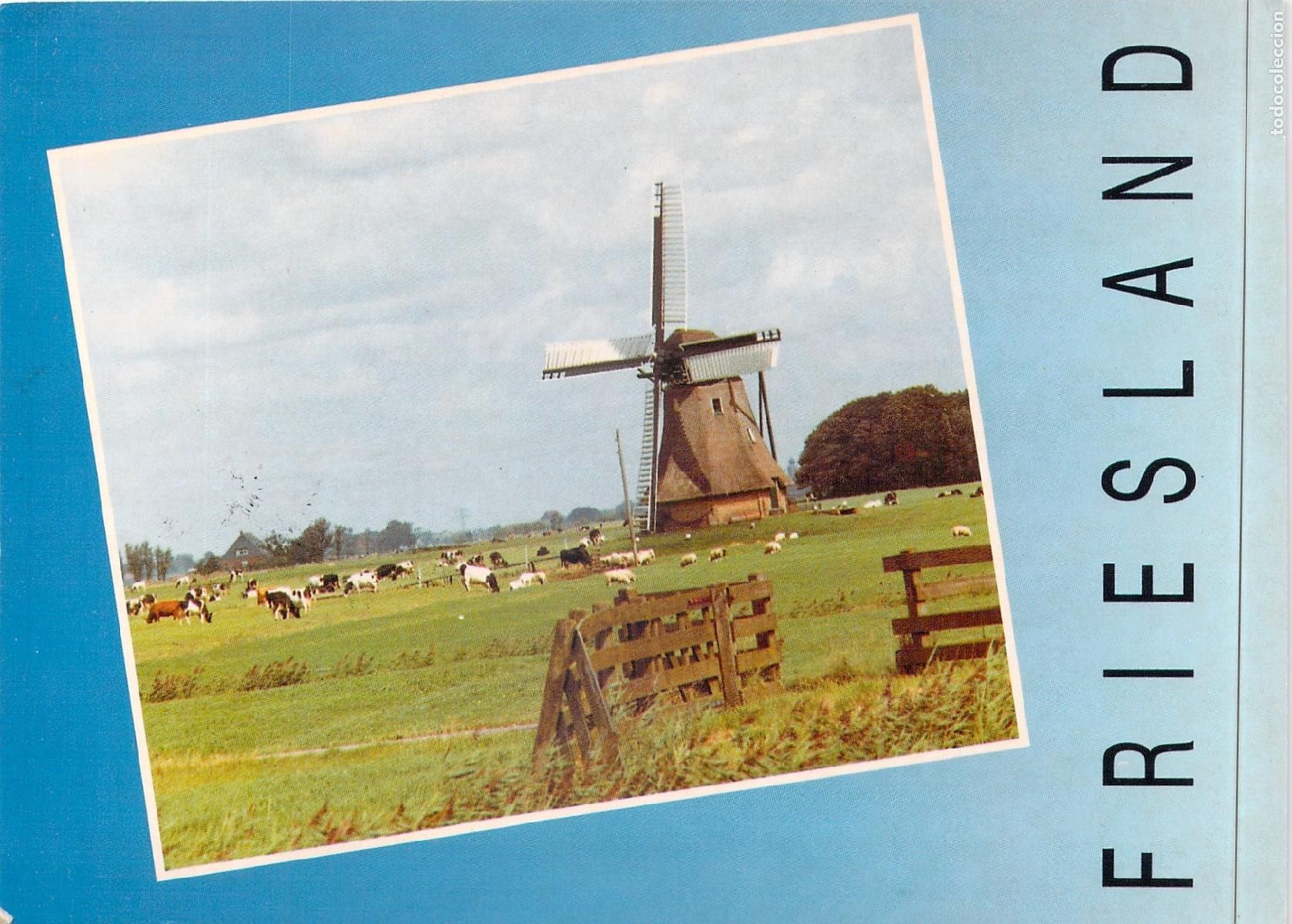 Postales: Postal del Molino en Huins, Provincia de Friesland, Pa&iacute;ses Bajos