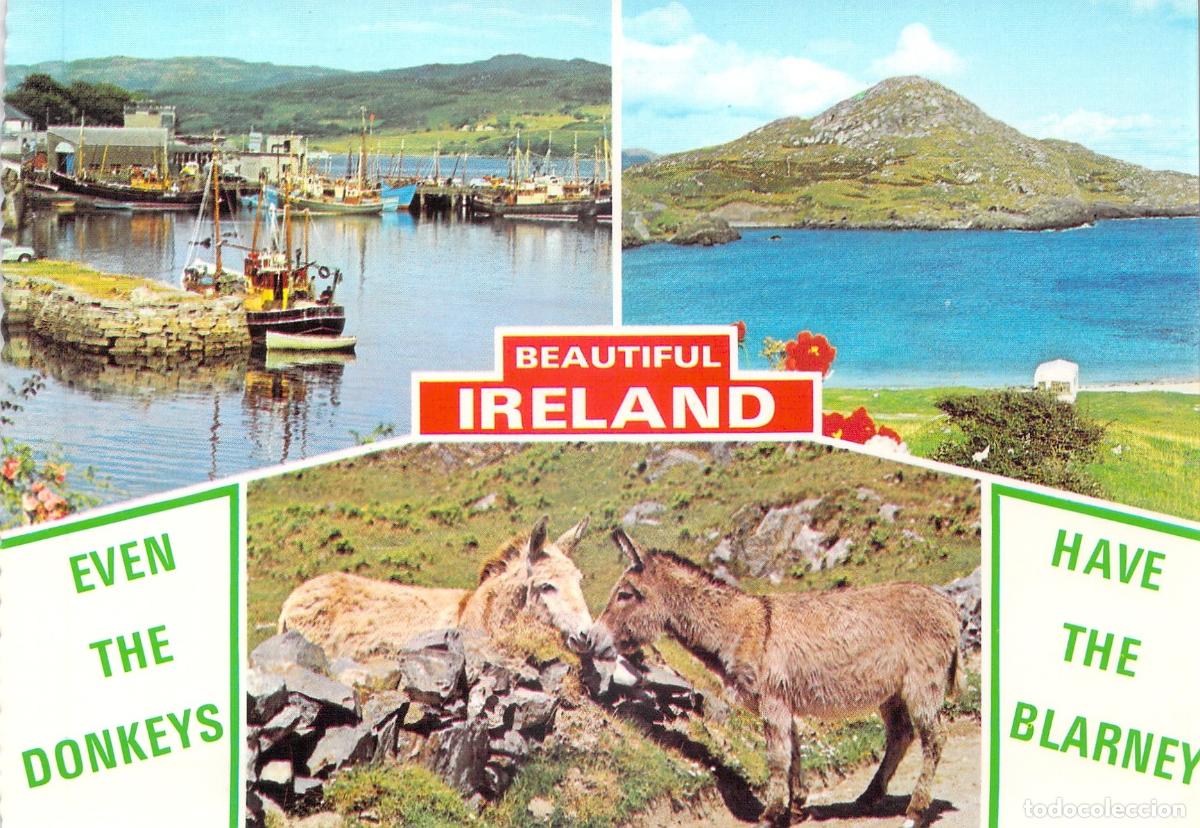 Postales: Postal de Irlanda con Burros y Paisajes Costeros - Beautiful Ireland