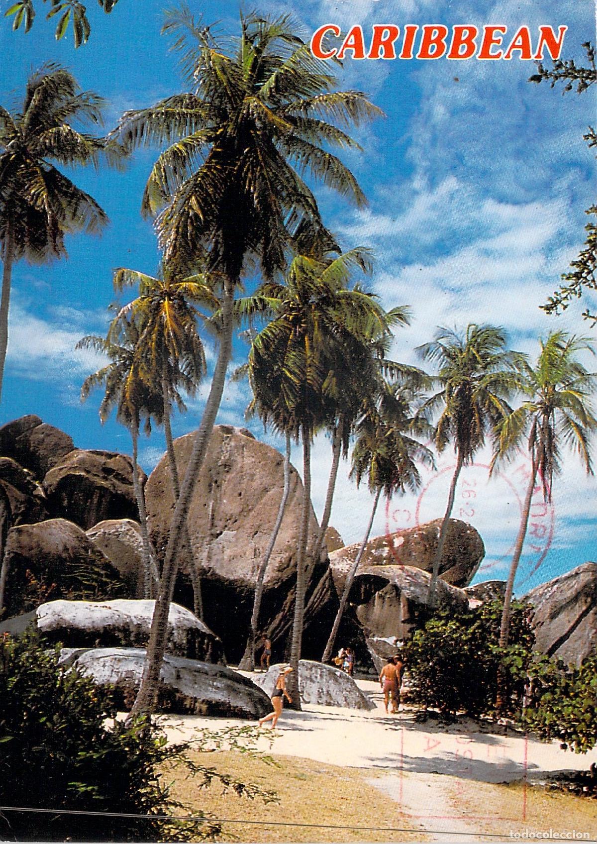 Postales: Postal de Paisaje Natural en el Caribe con Rocas y Palmeras