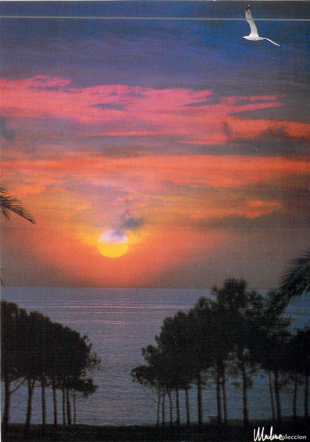 Postales: Postal de Atardecer en la Costa con Gaviota y Siluetas de &Aacute;rboles